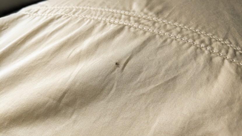 even the highest quality egyptian cotton sheets are susceptible to...