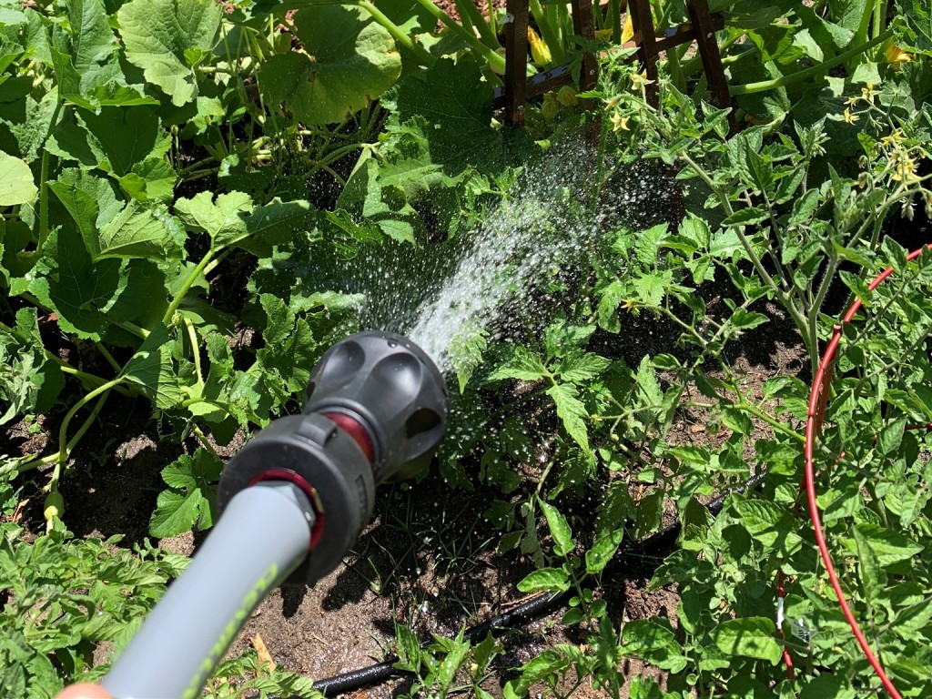 The 5 Best Hose Nozzles of 2024