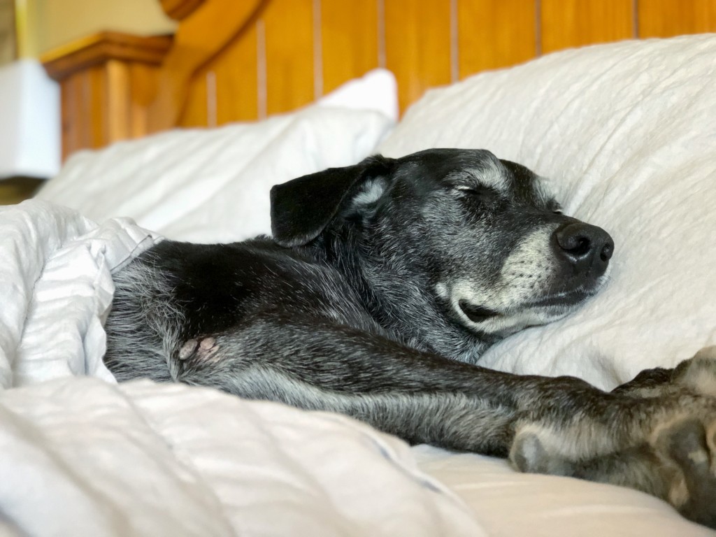 cooling sheets - maintaining that &quot;goldilocks&quot; temperature all summer long is much...