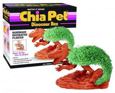 Lead photo for A Great Option for Kids