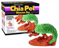 A Great Option for Kids