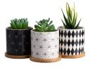 Another Good Succulent Set