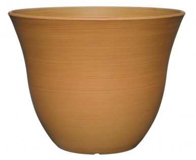 Lead photo for Best Bang for Your Buck