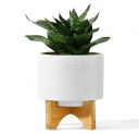 An Attractive Countertop Planter and Stand