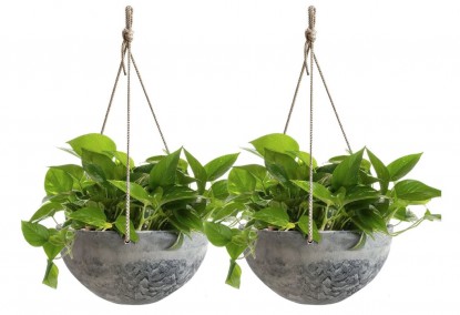 Lead photo for A Versatile Hanging Option