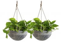 A Versatile Hanging Option