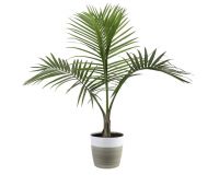 A Striking but Picky Piece