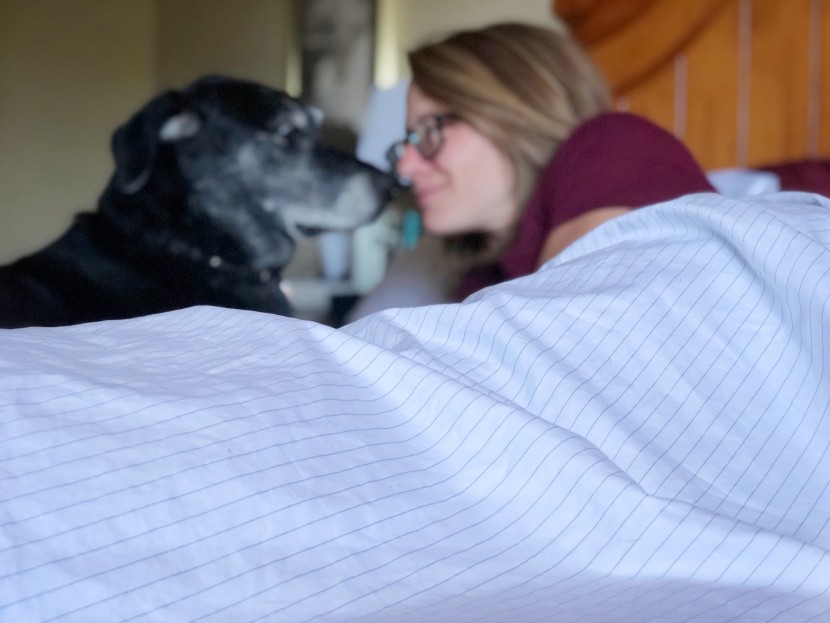 cooling sheets - we love the look and feel of these ultra-chic 100% cotton sheets...