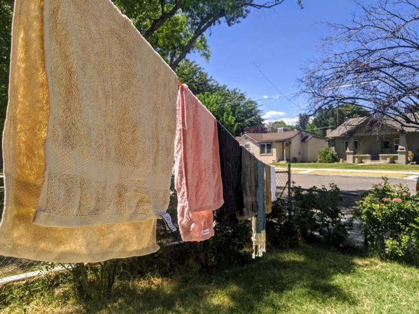 hand towel - here are the contenders right out of the wash and out in the...