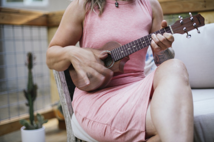 ukulele - the cutaway and the stylish aquila nylblack strings on the ibanez...