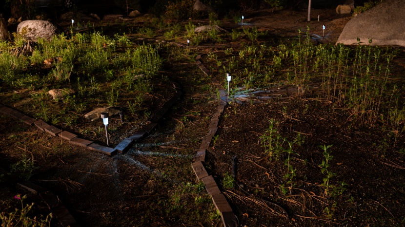 outdoor solar lights