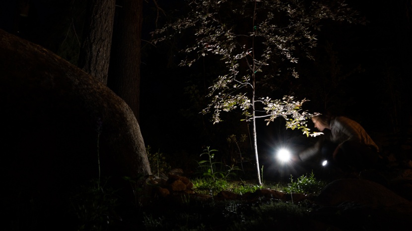 this model is made to light up landscaping features or a house.