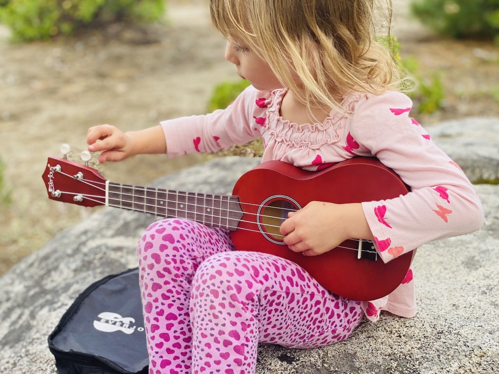 ukulele - the everjoy makes a great introductory kit for youngsters eager to...