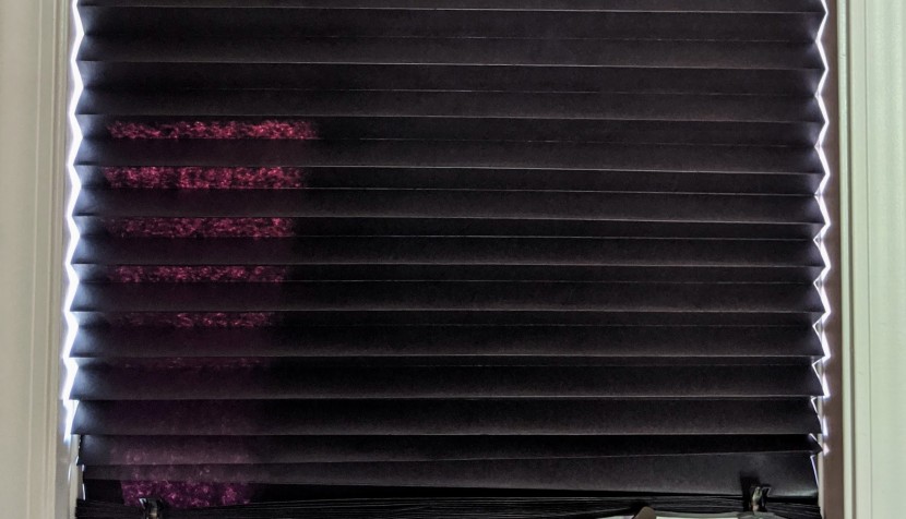 window shades - there isn't anything red outside this window. however, red coloring...