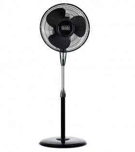 Lead photo for A Step Above Basic