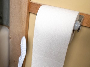 The 3 Best Toilet Papers of 2024