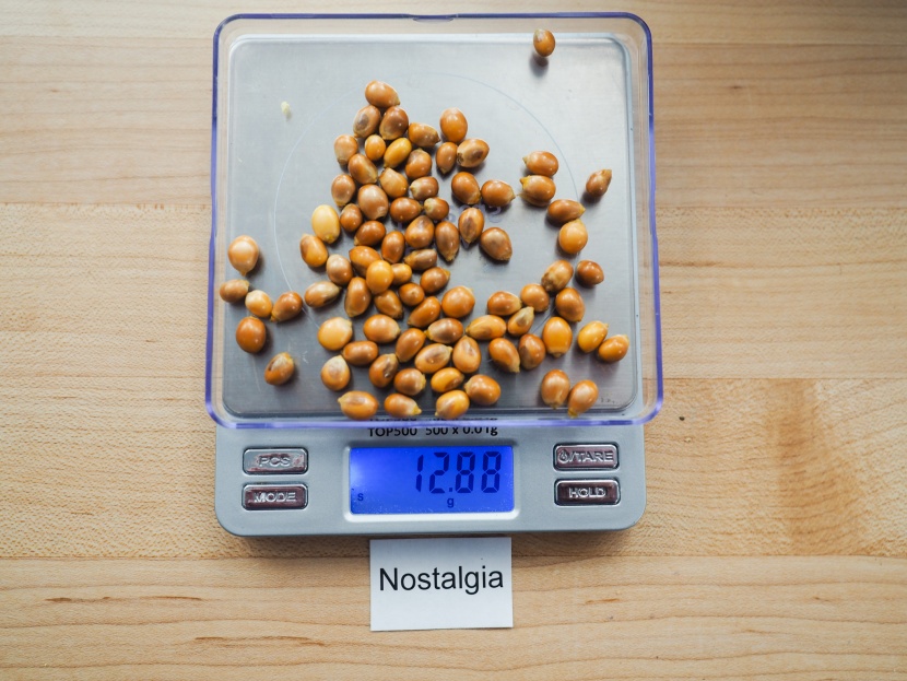 nostalgia rmo4aq - the popcorn preset on the nostalgia left a decent number of kernels...