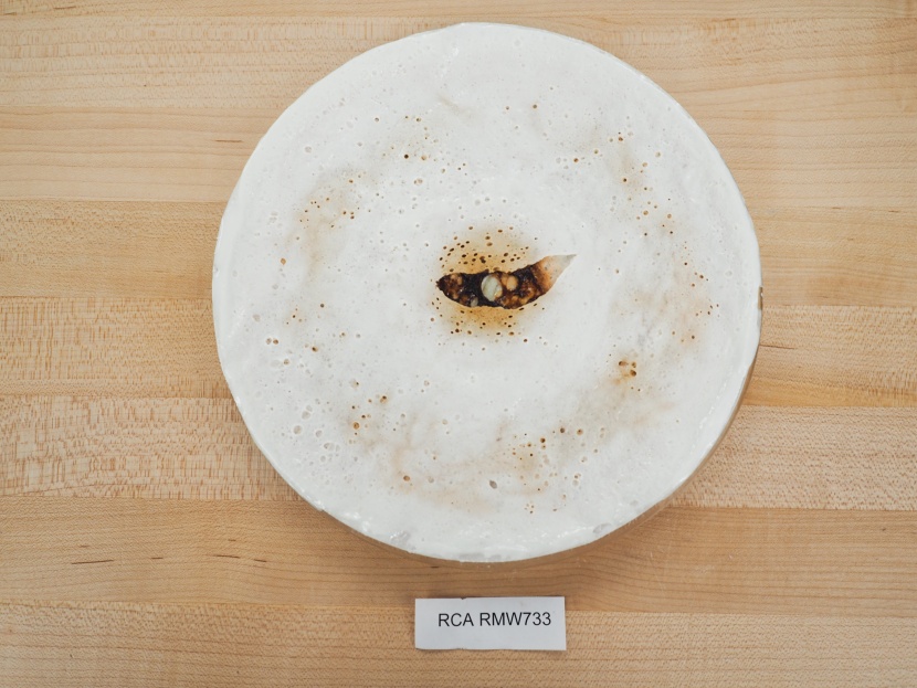 the center hot spot is very evident.