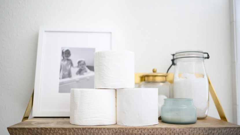 toilet paper - toilet paper is a simple enough product but its value is difficult...