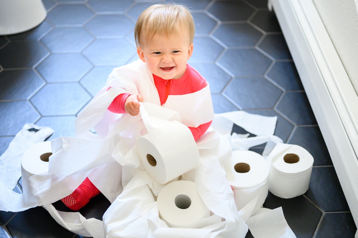 Best Toilet Paper Review