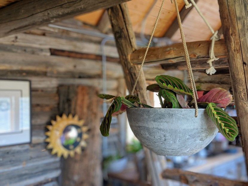 the la jolie muse design has the look of stone and neutral tones to...