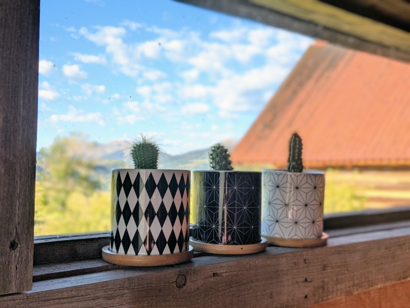 these patterns blend well into warm, basic colors.