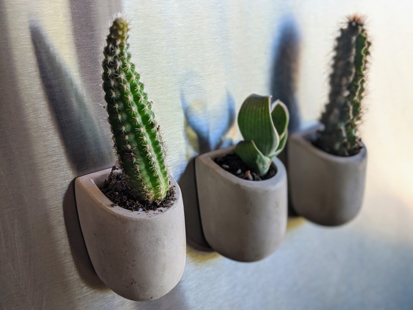 planter - teeny tiny cacti fit nicely into the concrete magnets.