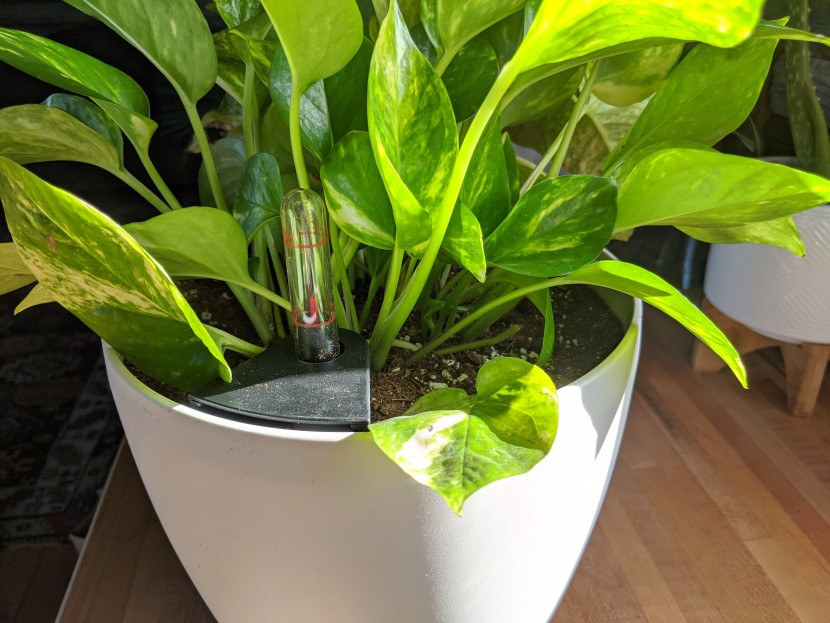 planter - the self-watering gauge on the lechuza classico greatly reduces...