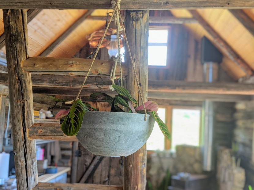 planter - the la jolie muse can adapt to many different home decors.