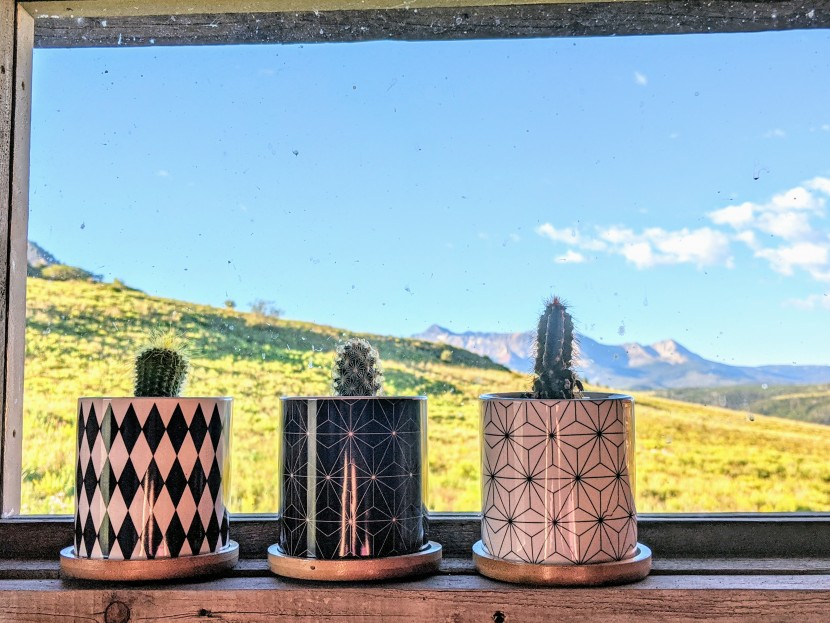 planter - these little ceramic planters are great for cacti and will add some...