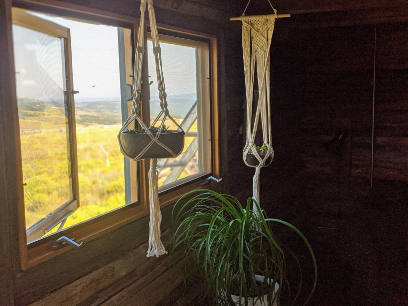 two multiple plantings of succulents hanging in bright light.
