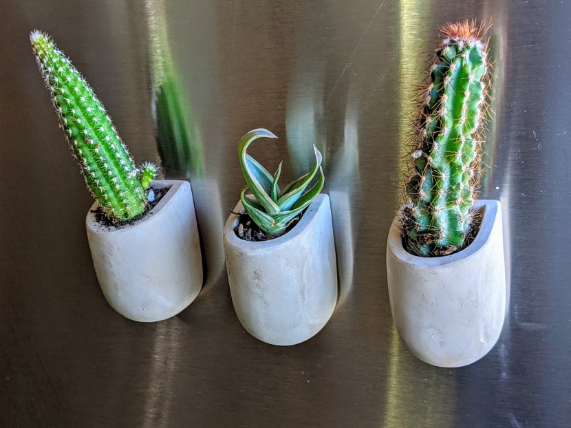 the small cacti in this pack look great as part of a little magnet...