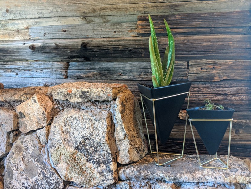 succulents - aloe vera seems to do best when it's neglected.