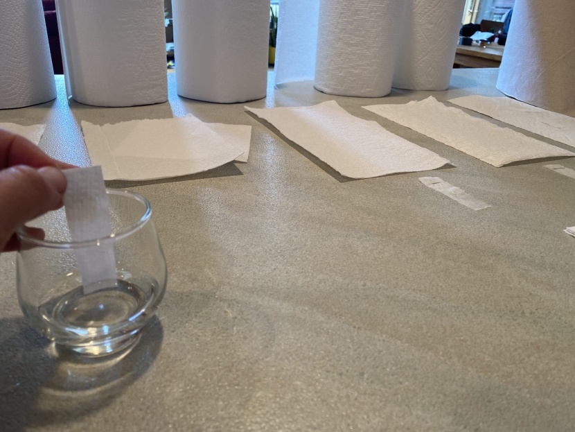 paper towels - pictured here are our diffusion tests. we qualitatively note how...