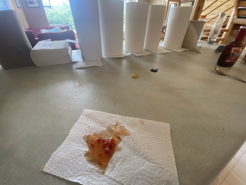 paper towels - the bounty roll does an incredible job of picking up foodstuffs -...