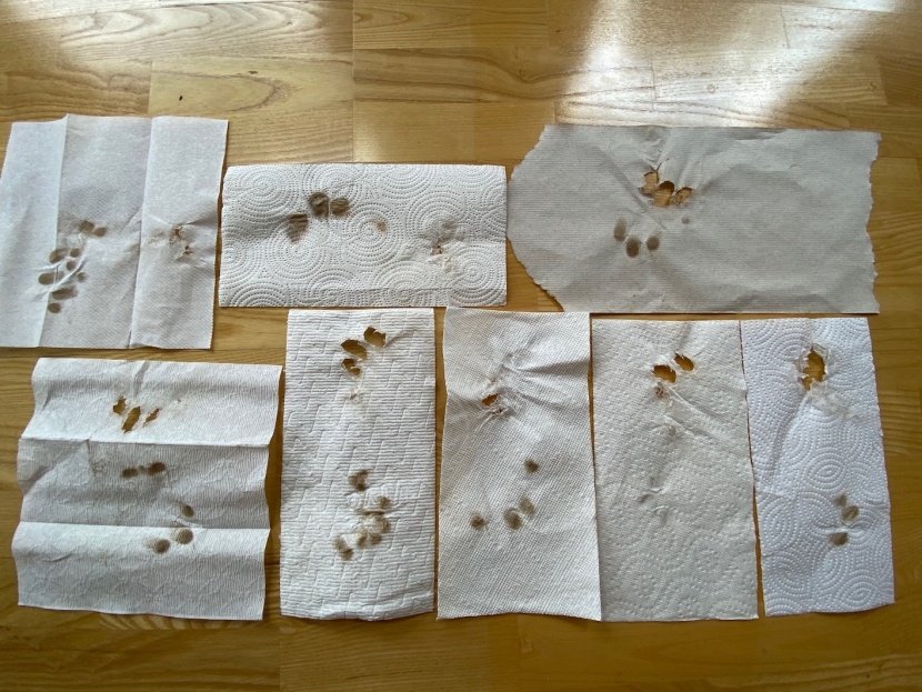 paper towels - a look at the results of our dry rub tests. we rubbed each on a cast...