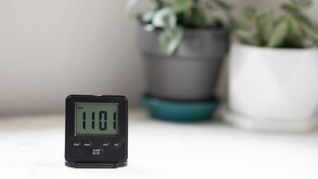 The best $17.59 I've ever spent: A totally normal alarm clock - Vox