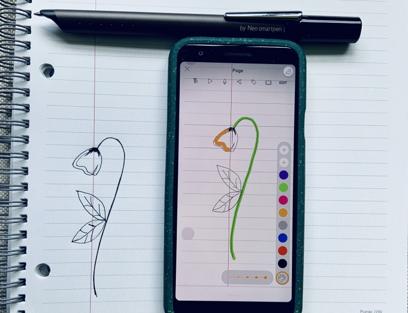 digital pen - while you can change the thickness and color of your lines in the...