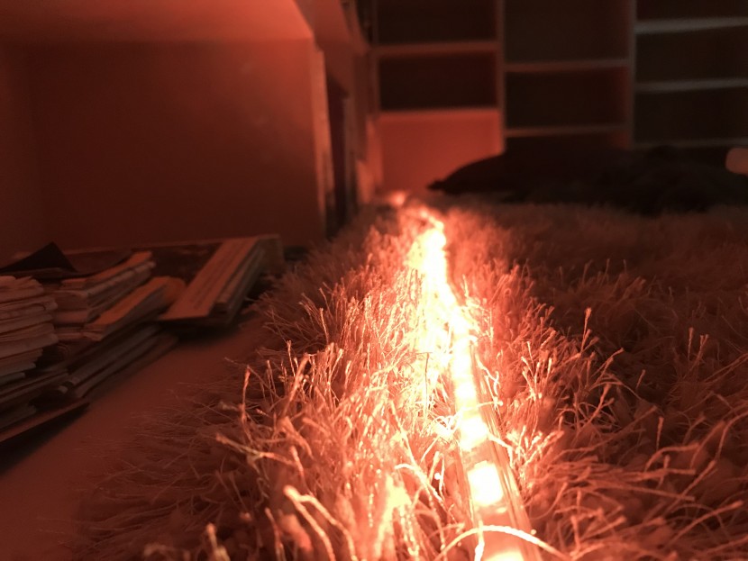 rope lights - we liked that the areful light could change into eight different...