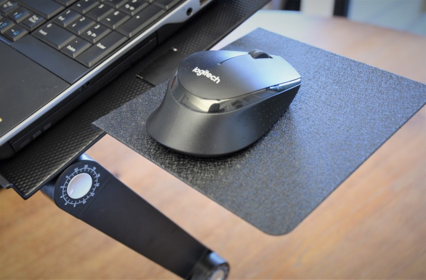 the highly adjustable workex has a removable and adjustable mouse...