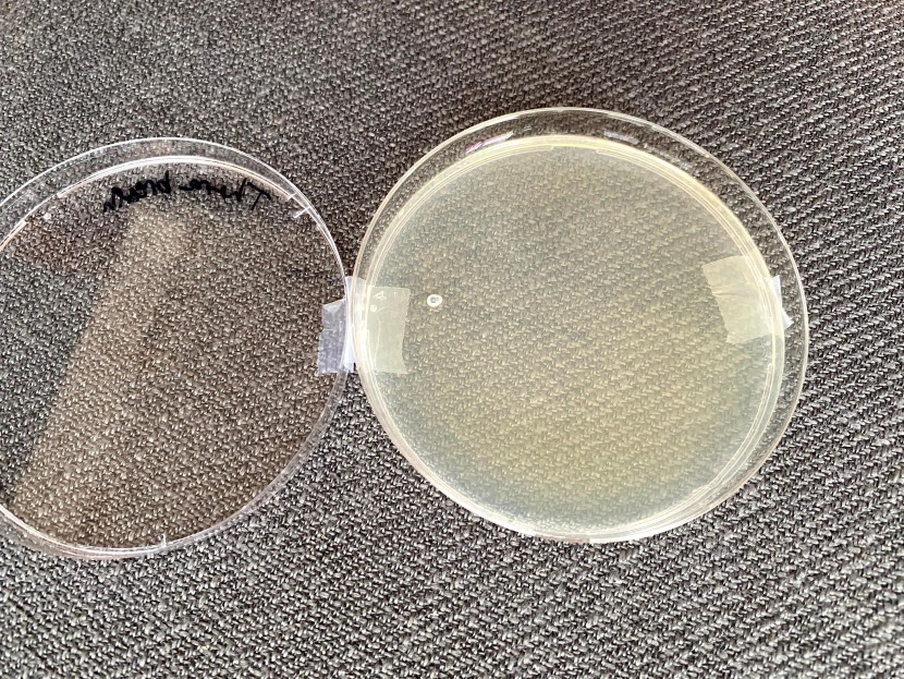 mouthwash - the products in this category prevented a significant amount of...