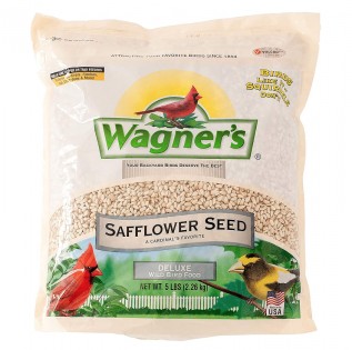 Lead photo for If You Need a Squirrel Deterrent