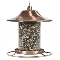 bird feeder