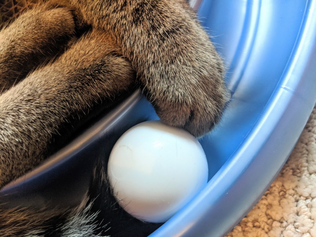 cat toys - as pet parents, we only want the best toys for our feline friends.