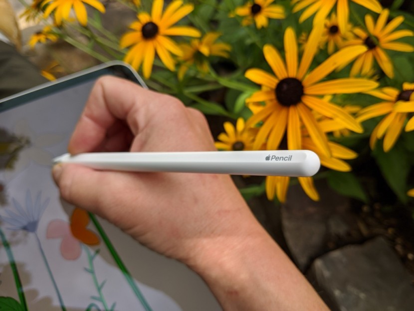 digital pen - the apple pencil is a premium stylus and our favorite option if you...