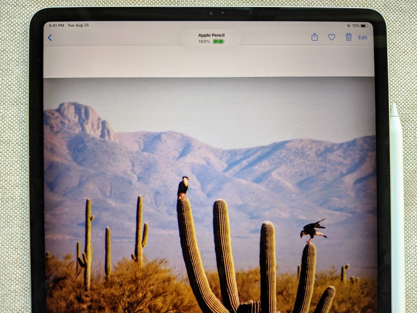 digital pen - it&#039;s easy to get into the habit of docking the apple pencil whenever...