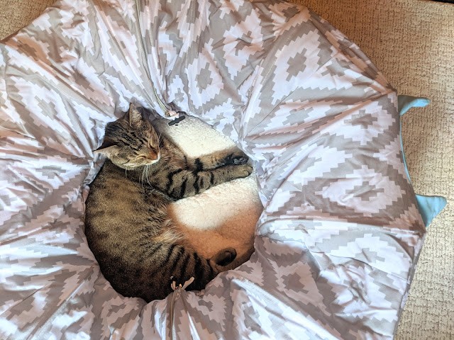 cat toys - our cat is seen taking a luxurious nap on the soft plush bed of the...