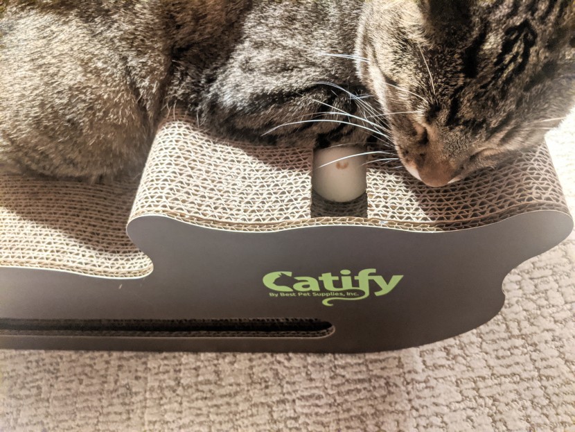 cat toys - our cat loved taking a rest break on the sturdy catify.