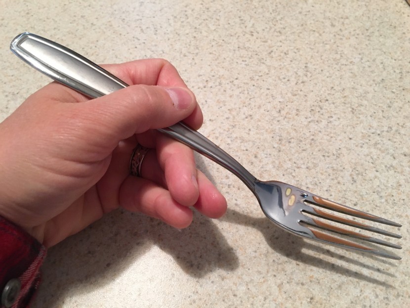 flatware set - each piece has a different shape which our testers took into...