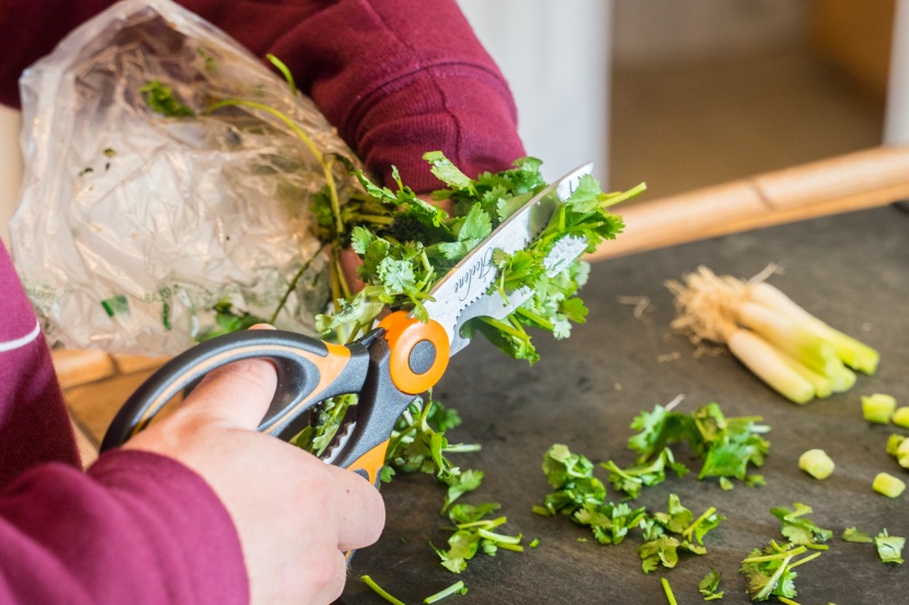 kitchen shears